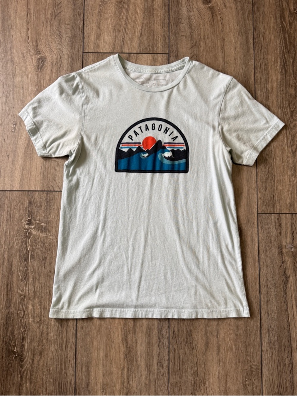 Pick 2 for $20. Patagonia Organic Cotton Tee with Mountain Graphic